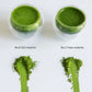 02 HARU - Organic Ceremonial Matcha