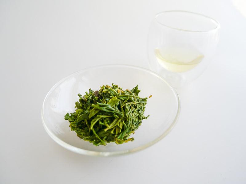 Sencha Japanese Green Tea - Umami - Clarity Tea