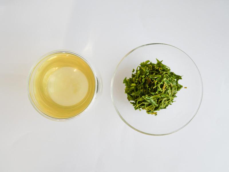 Sencha Japanese Green Tea - Umami - Clarity Tea